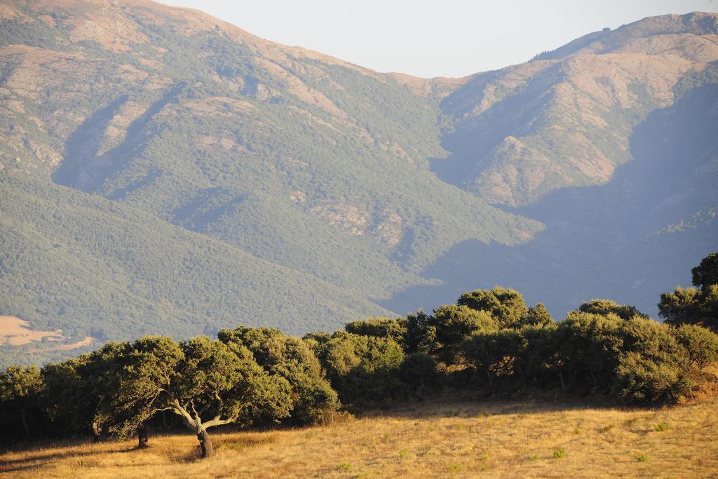 阿勃丝Agriturismo Rocca Su Moru别墅 外观 照片