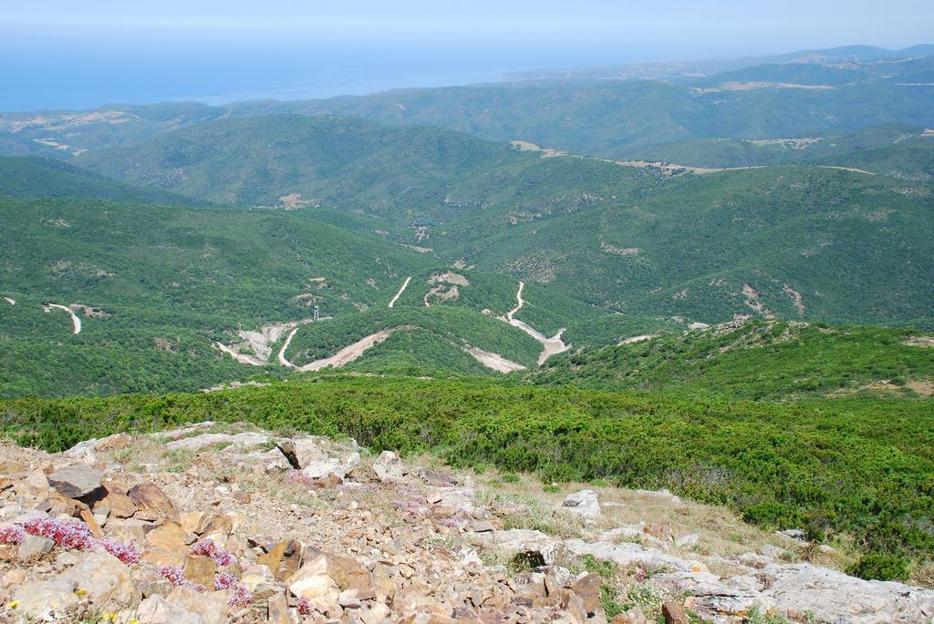 阿勃丝Agriturismo Rocca Su Moru别墅 外观 照片