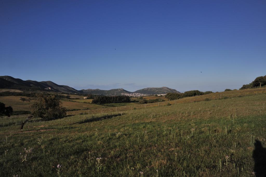 阿勃丝Agriturismo Rocca Su Moru别墅 外观 照片